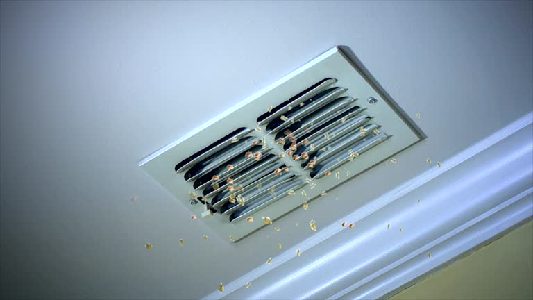 Best Local Air Duct Cleaning Services  in Harbor Springs, MI
